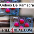 Gelées De Kamagra 14